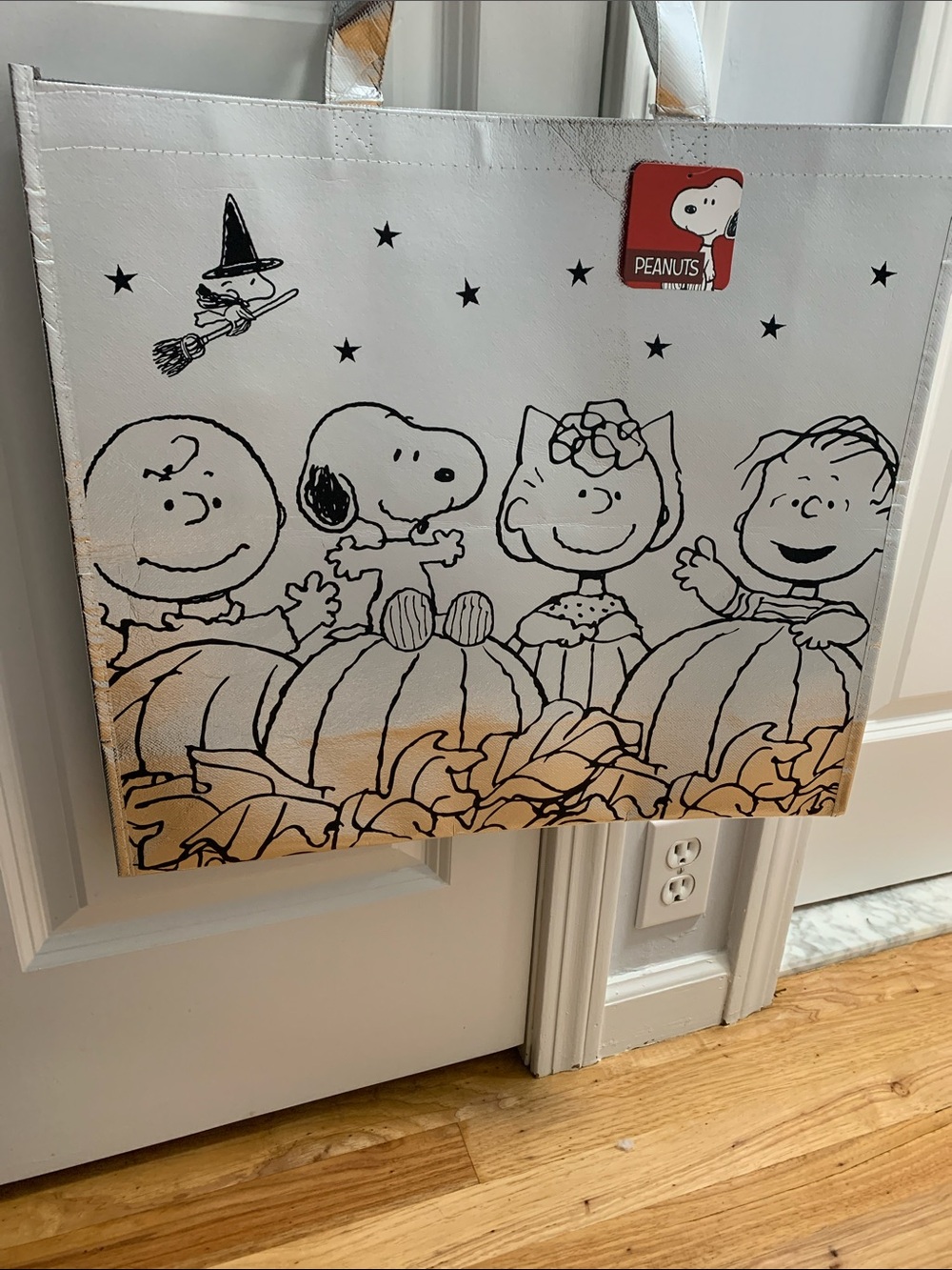 Peanuts Halloween bag